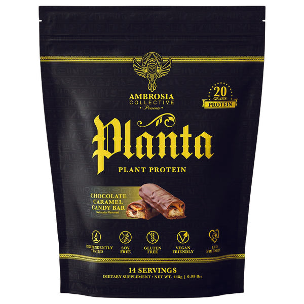 Ambrosia Planta Vegan Protein Powder in a blender with fruits for a smoothie.