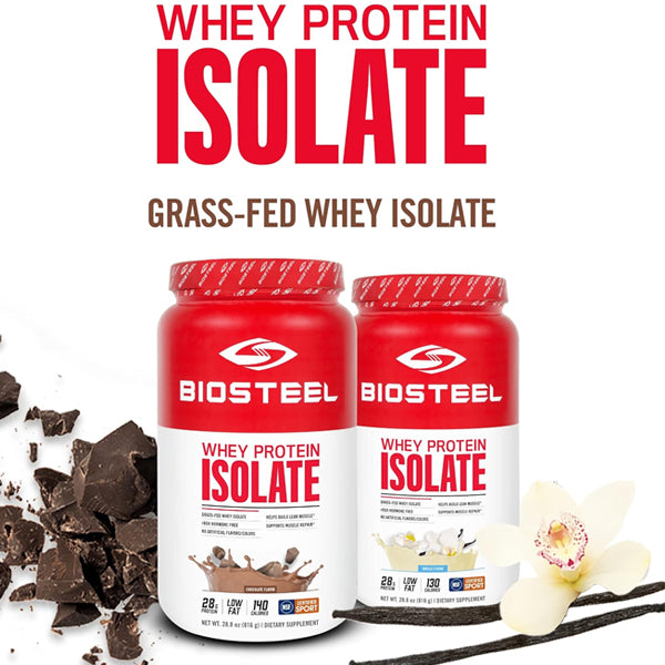 Close-up of the whey protein isolate powder, highlighting purity and texture