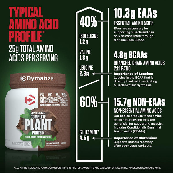 Dymatize Complete Plant Protein bag displayed with fresh fruits, ideal for a nutritious high-protein vegan shake mix.