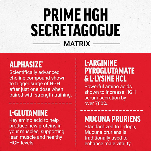 Prime HGH Booster displayed with fitness gear, emphasizing its role in boosting testosterone and overall vitality.