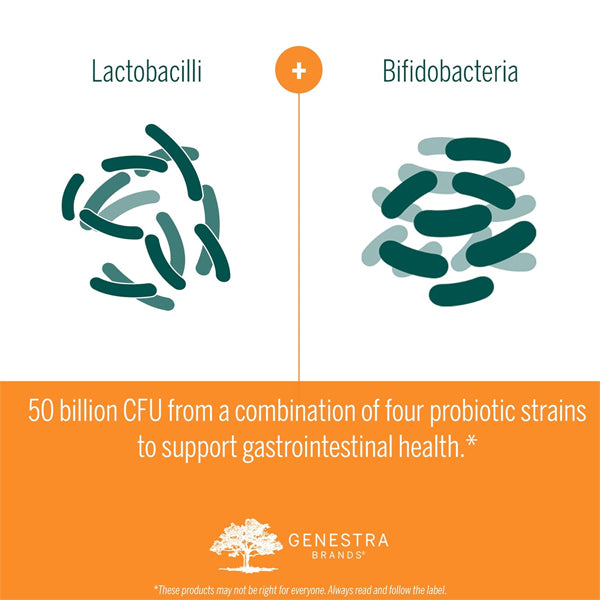 HMF Intensive 50 Probiotic Capsules in a hand, highlighting their convenient once-daily use.