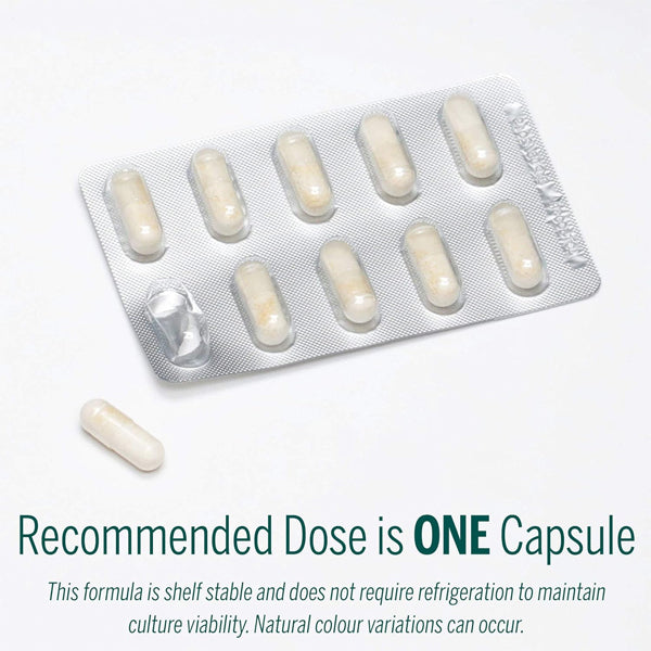 HMF Intensive 50 Probiotic Capsules displayed with a natural background emphasizing gut health.