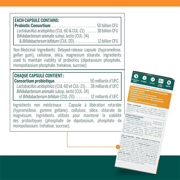 HMF Intensive 50 Probiotic Capsules in a hand, highlighting their convenient once-daily use.