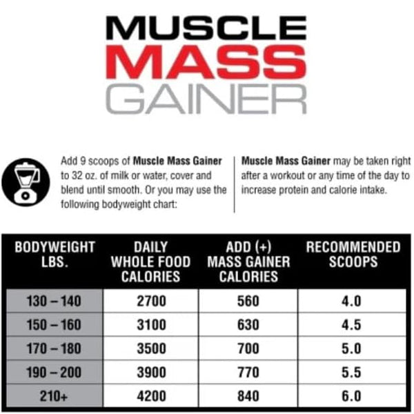 Close-up of Labrada Muscle Mass Gainer powder in a scoop beside the container.