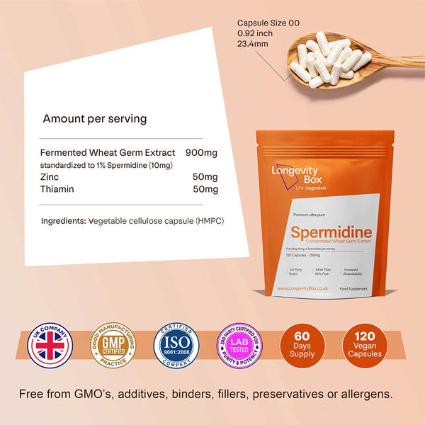 Wellness routine featuring Spermidine Essentials capsules alongside healthy foods.