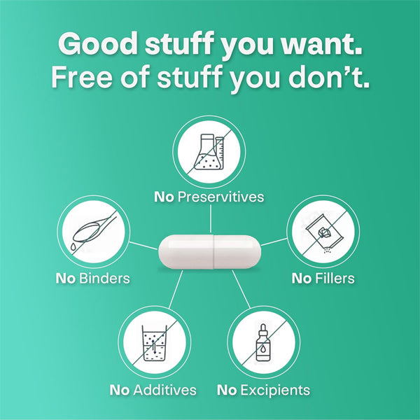Flat-lay of best Alpha-Ketoglutarate capsules for energy on wellness journal background.