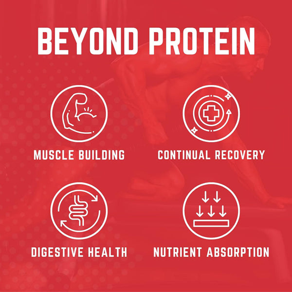 Blended protein powder in scoop with a shaker bottle, ideal for muscle gain and digestion