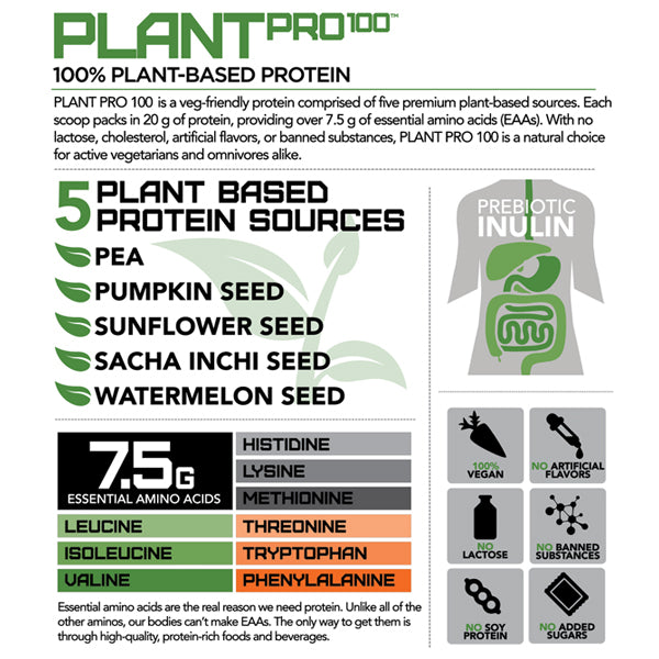 Athlete adding Rival Nutrition Plant Pro 100 to a smoothie, emphasizing its versatility in vegan nutrition.