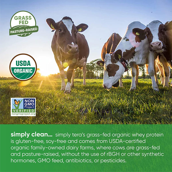 Teras Organic Grass-Fed Whey Protein being added to a bowl of overnight oats for a nutritious breakfast.